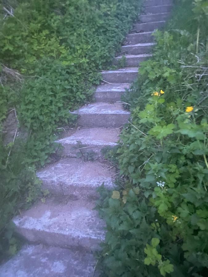 Anna Bed & Breakfast Kallaste  Bagian luar foto