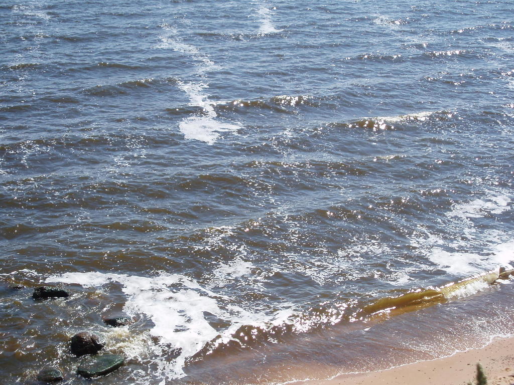 Anna Bed & Breakfast Kallaste  Bagian luar foto